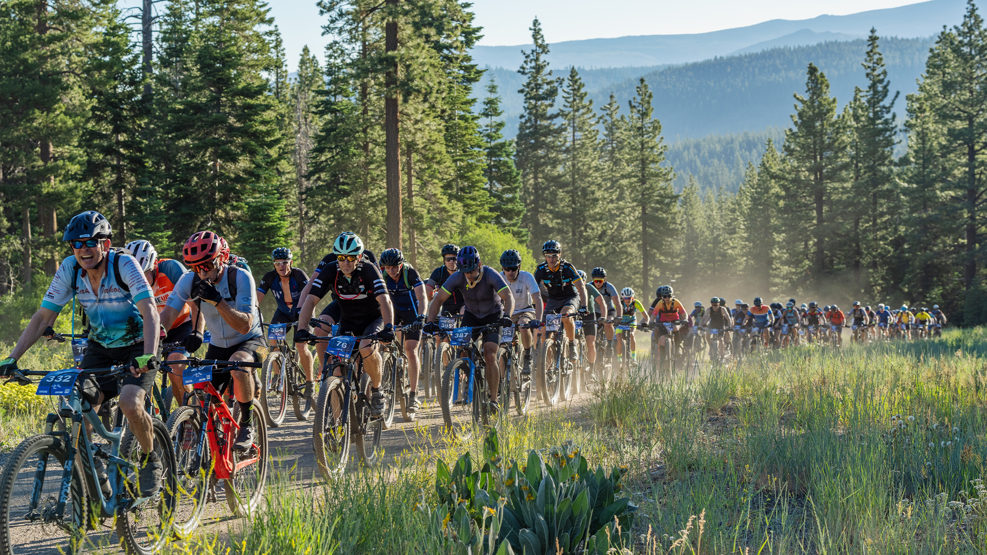 TAHOETRAIL